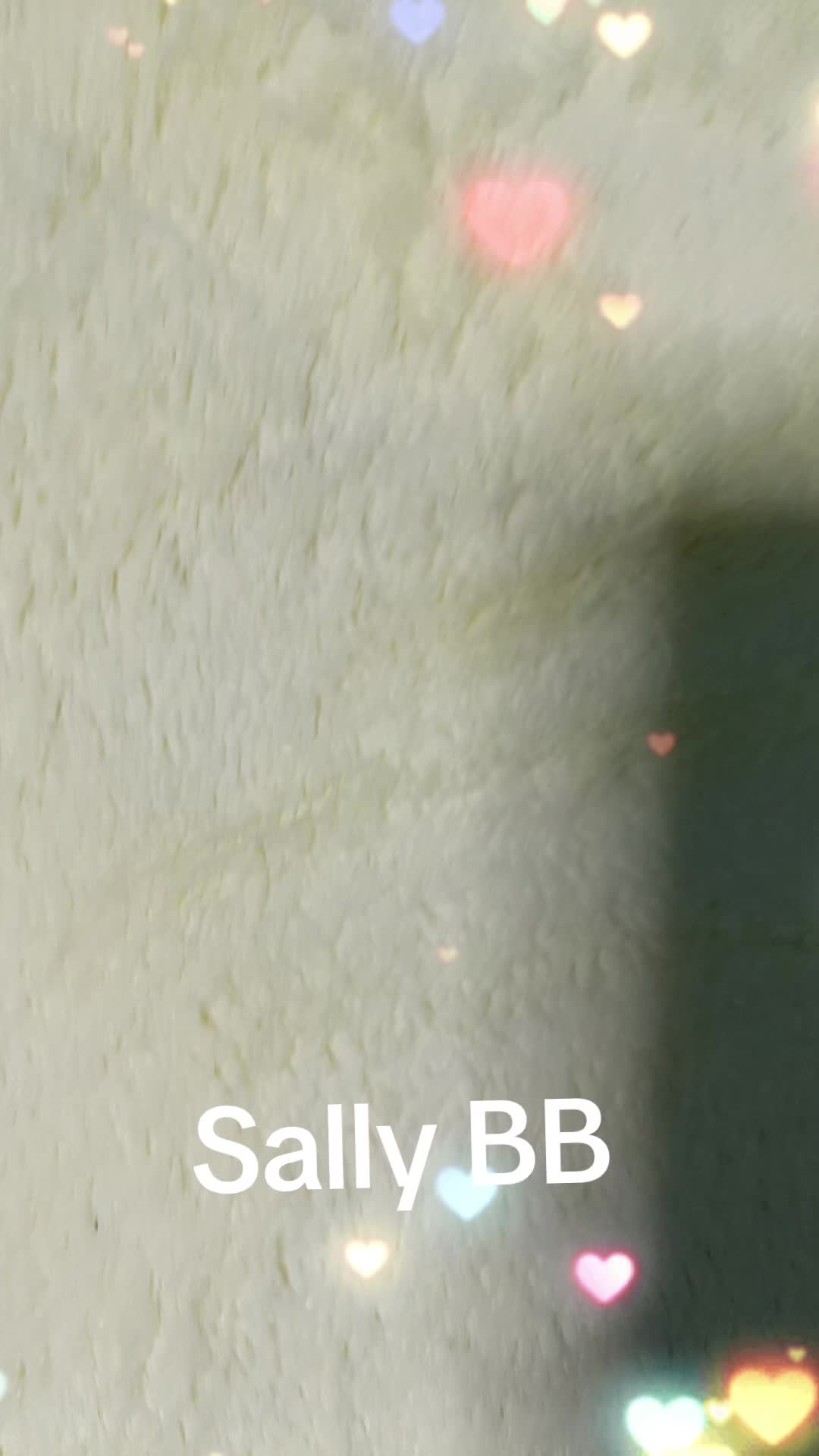 @orev1992.