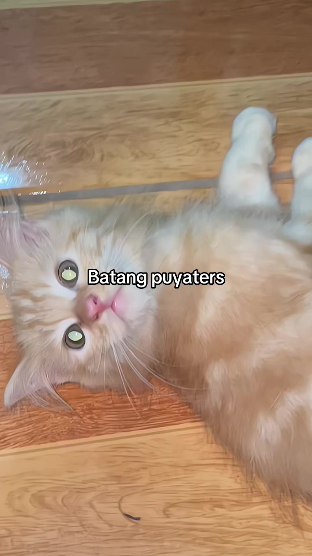 @๐๐๐ช๐ท๐ธ