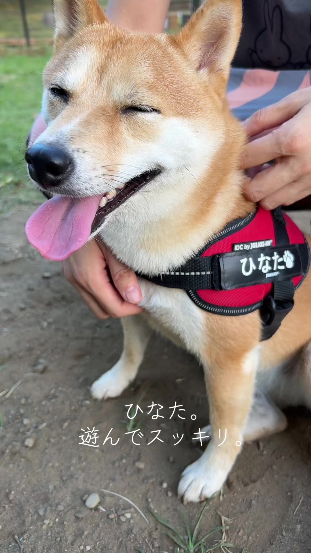 @ひでぽともぽ