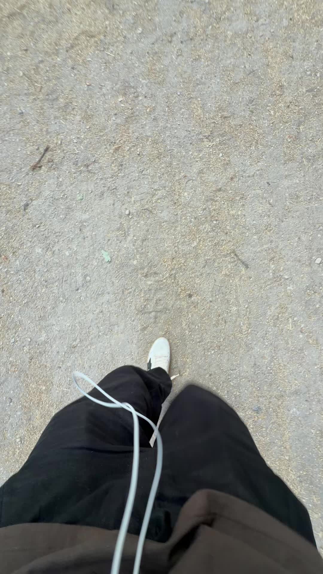 @Luca 🦮