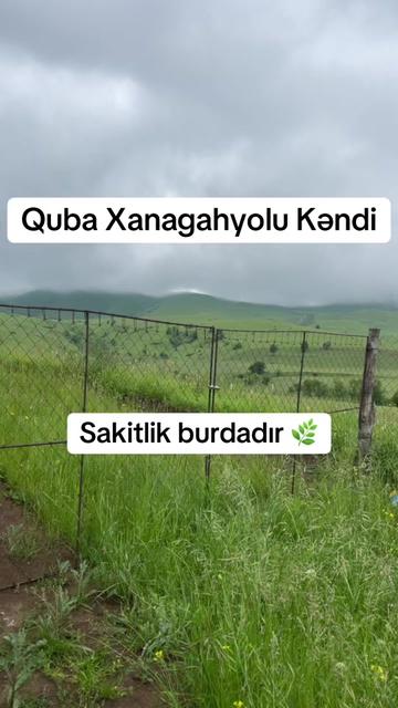 @YusifCamaləddinov