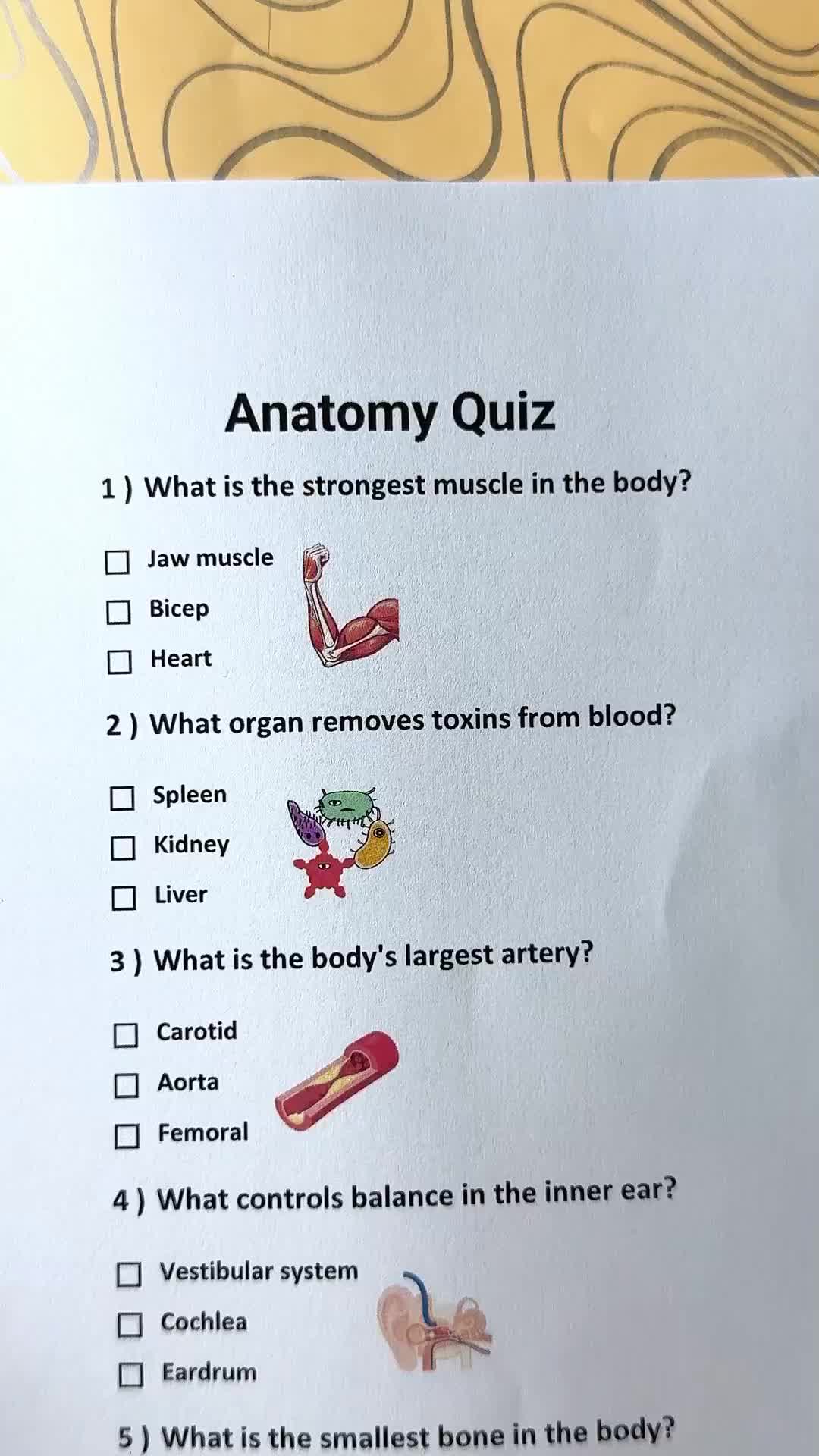 @Daily Quiz
