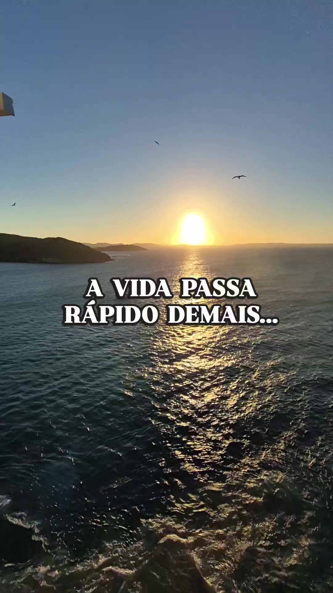 @Ale Trevisan