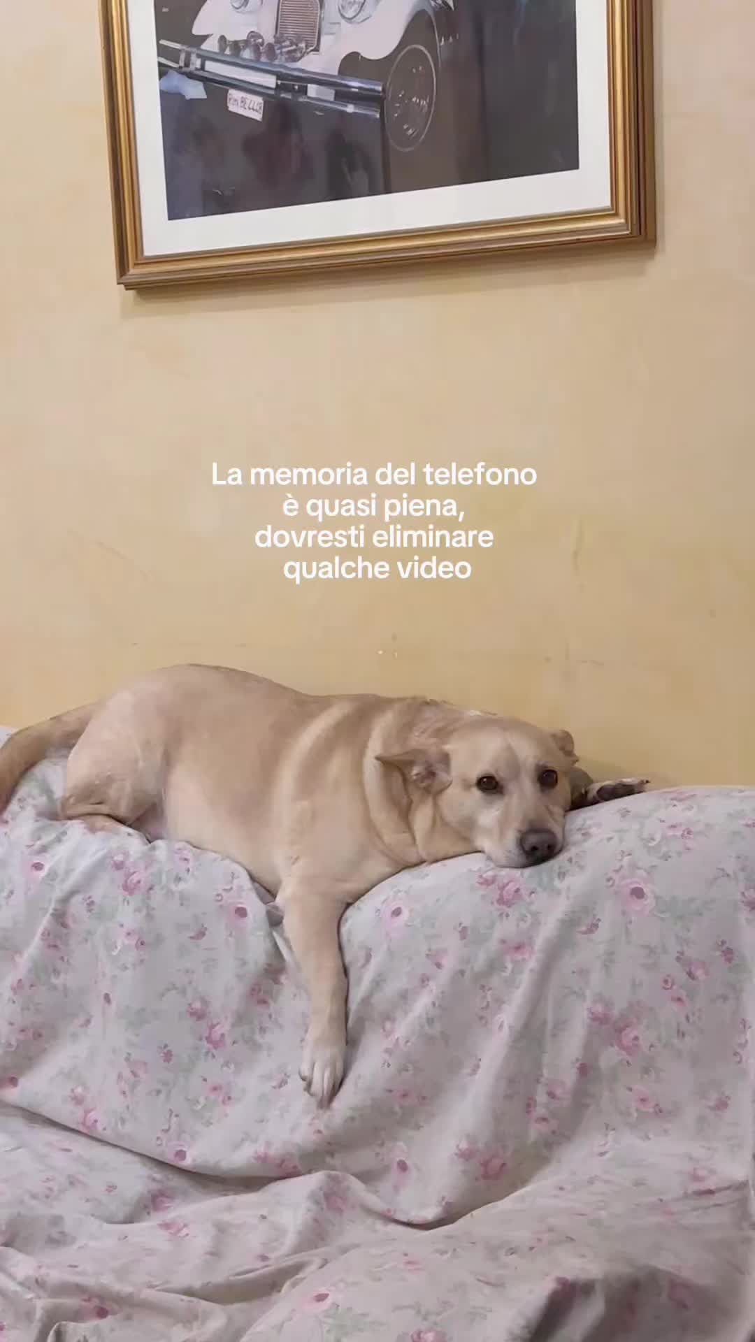 @FRANCESCA ROMAGNOLI