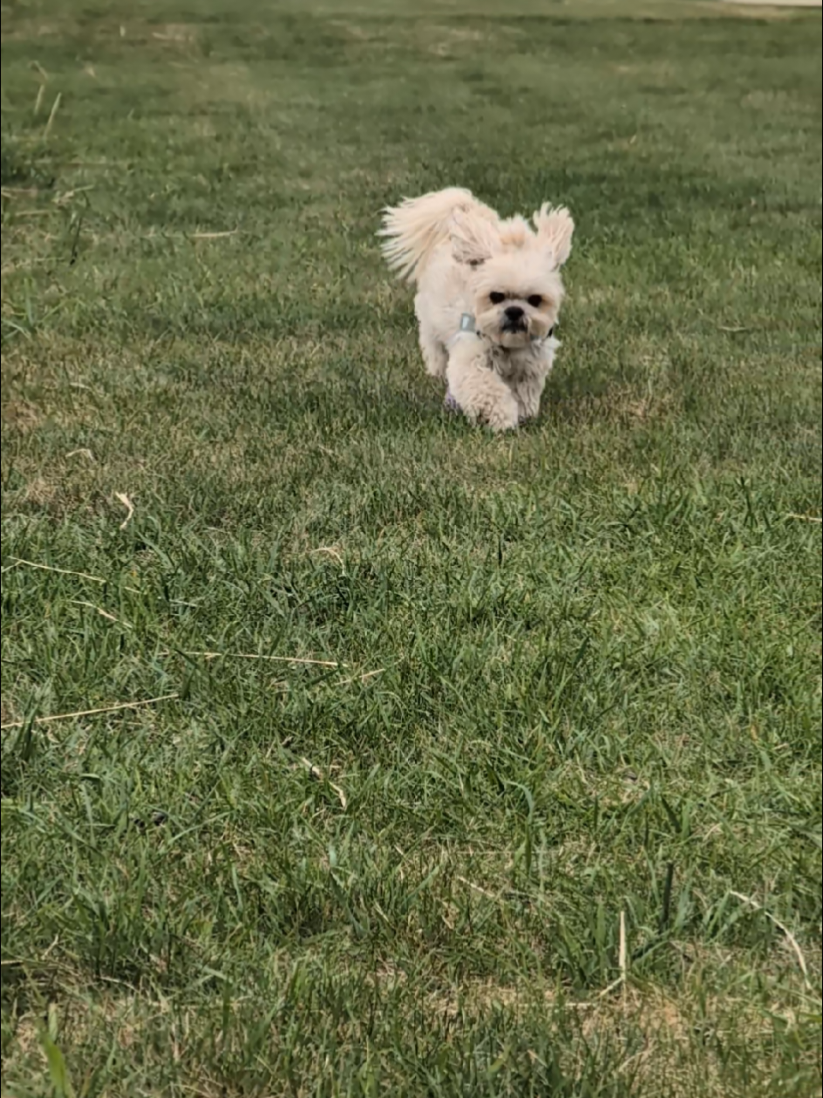 @Ssomi.Boo