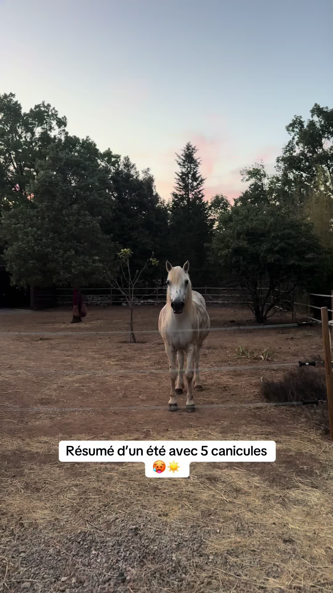 @Salut c’est Marine