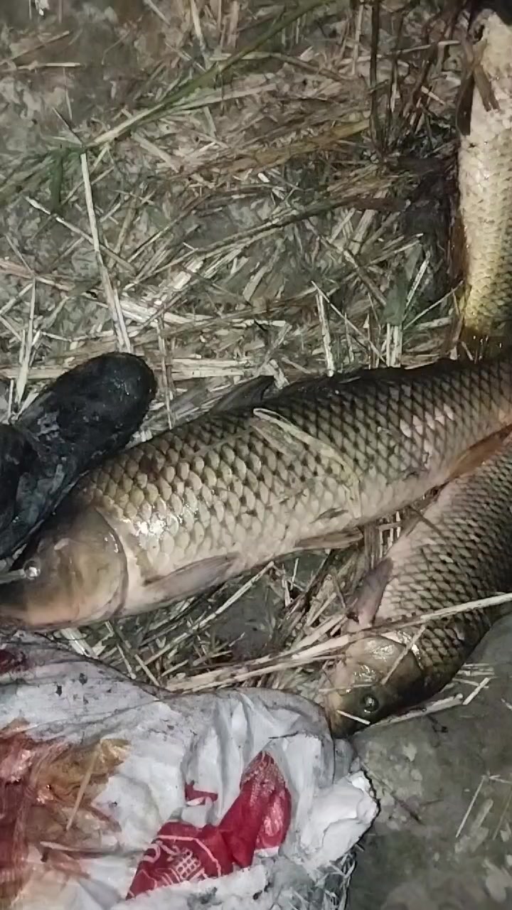 @sanjar9617