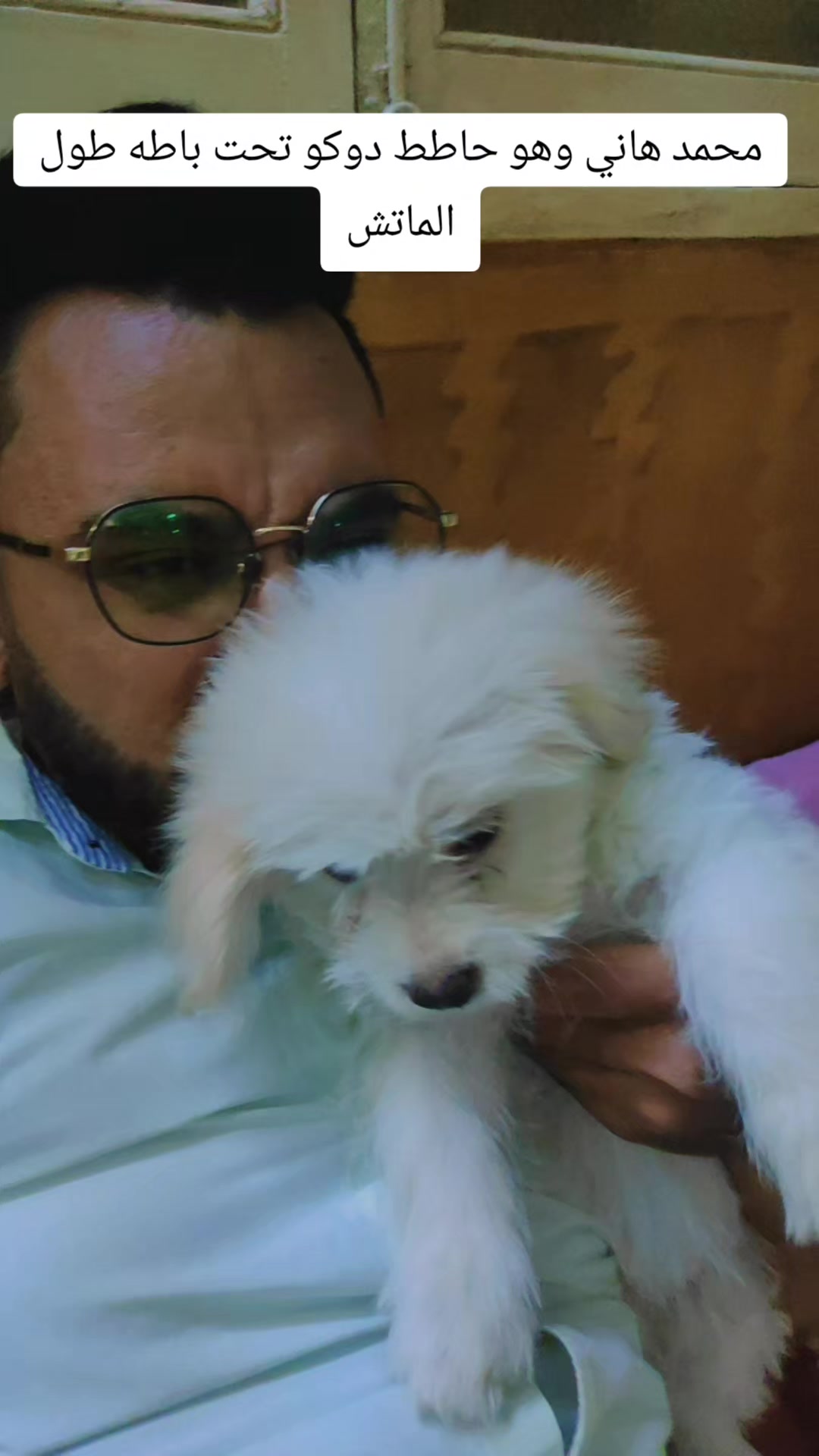 @الشيخ شنوده