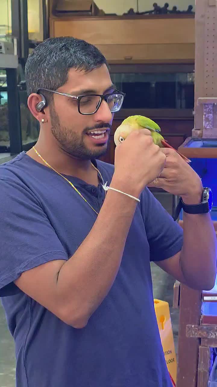 @🇺🇸🇺🇸 Sampath 🇺🇸🇺🇸