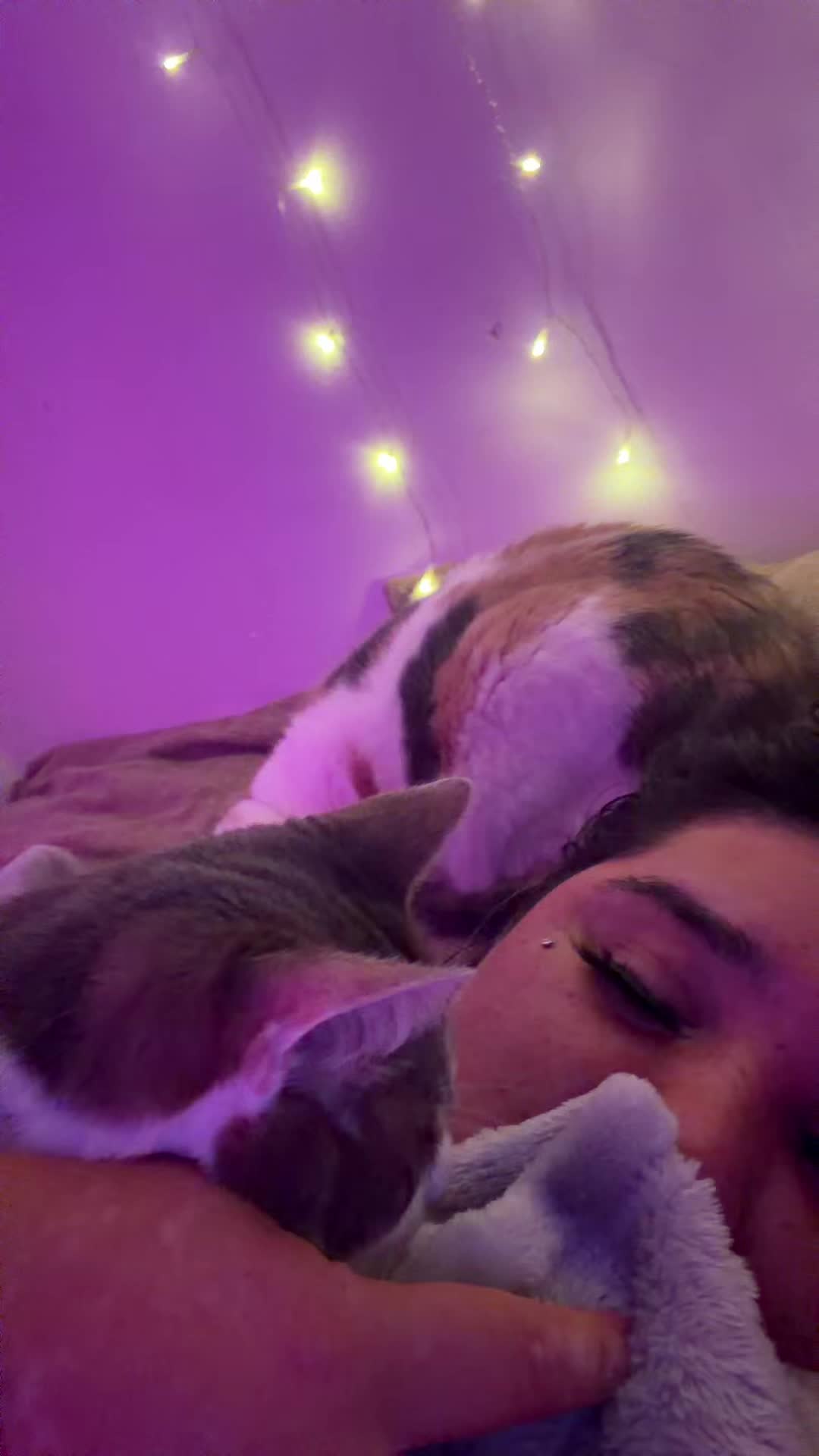 @nahara96