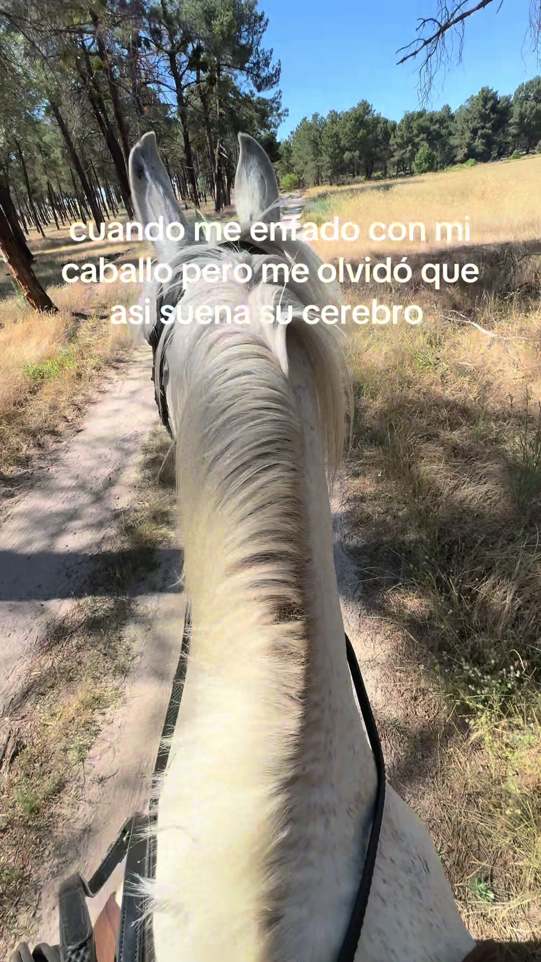 @sandra