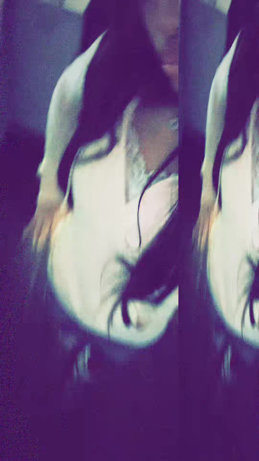 @Evelinn