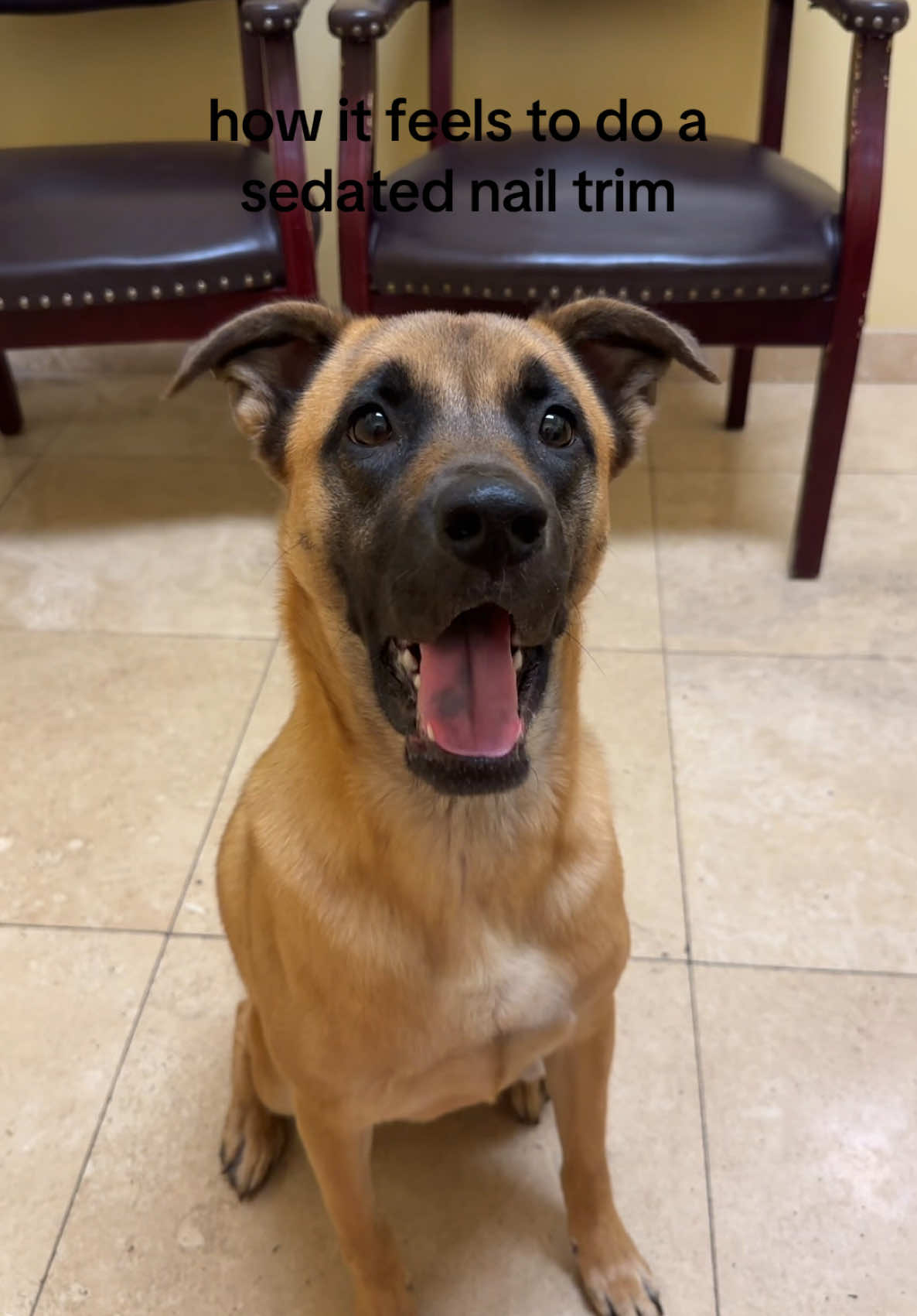 @Dreaming Summit Animal Hosp