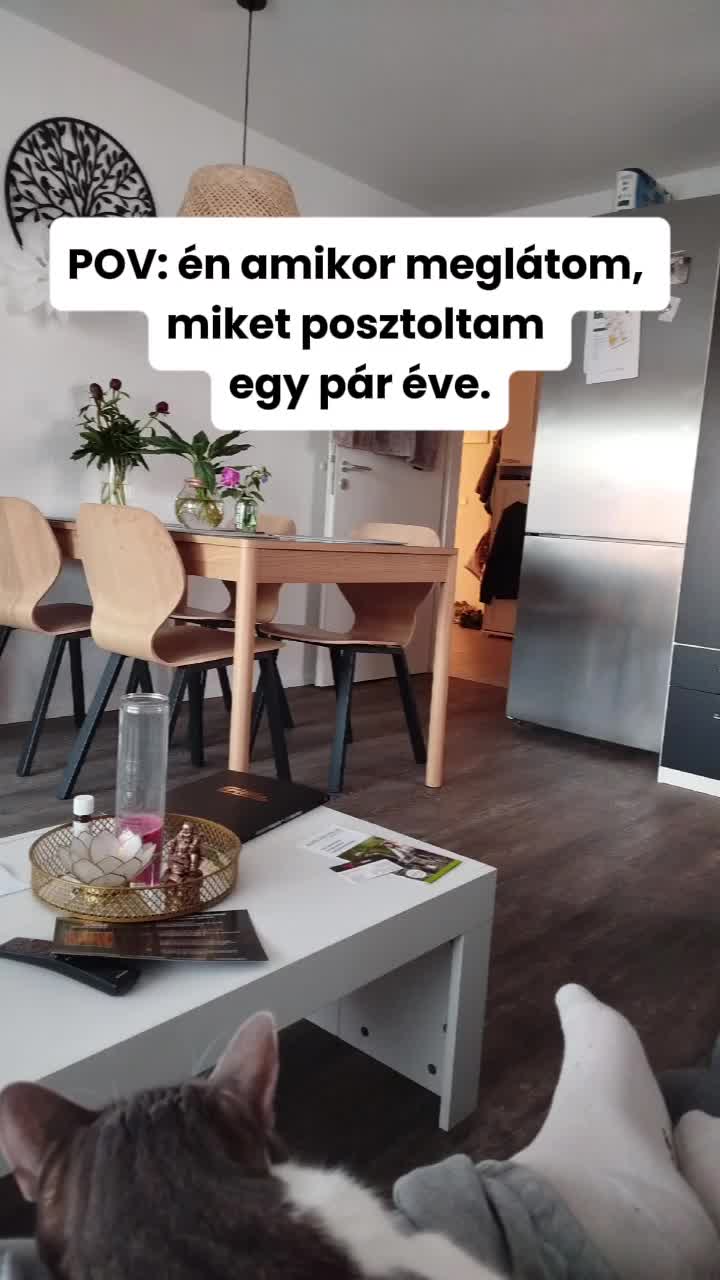 @tiborbenko7
