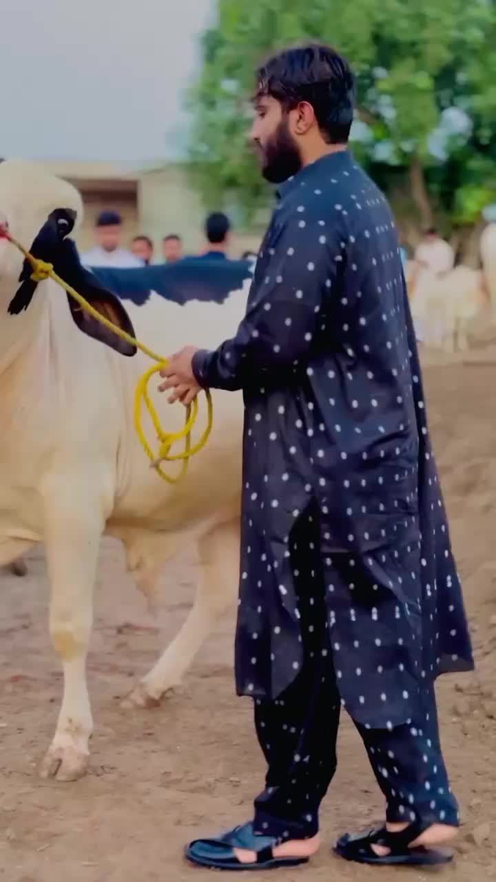 @user14650776897