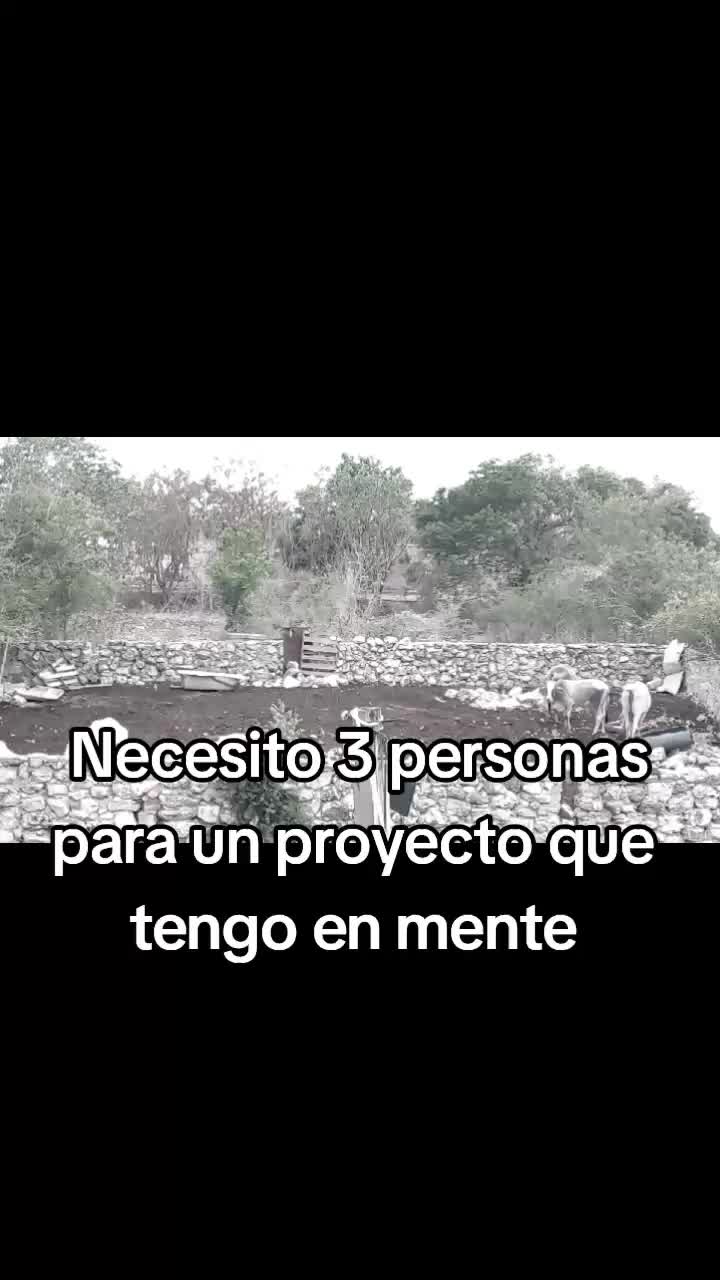@Jose Franco