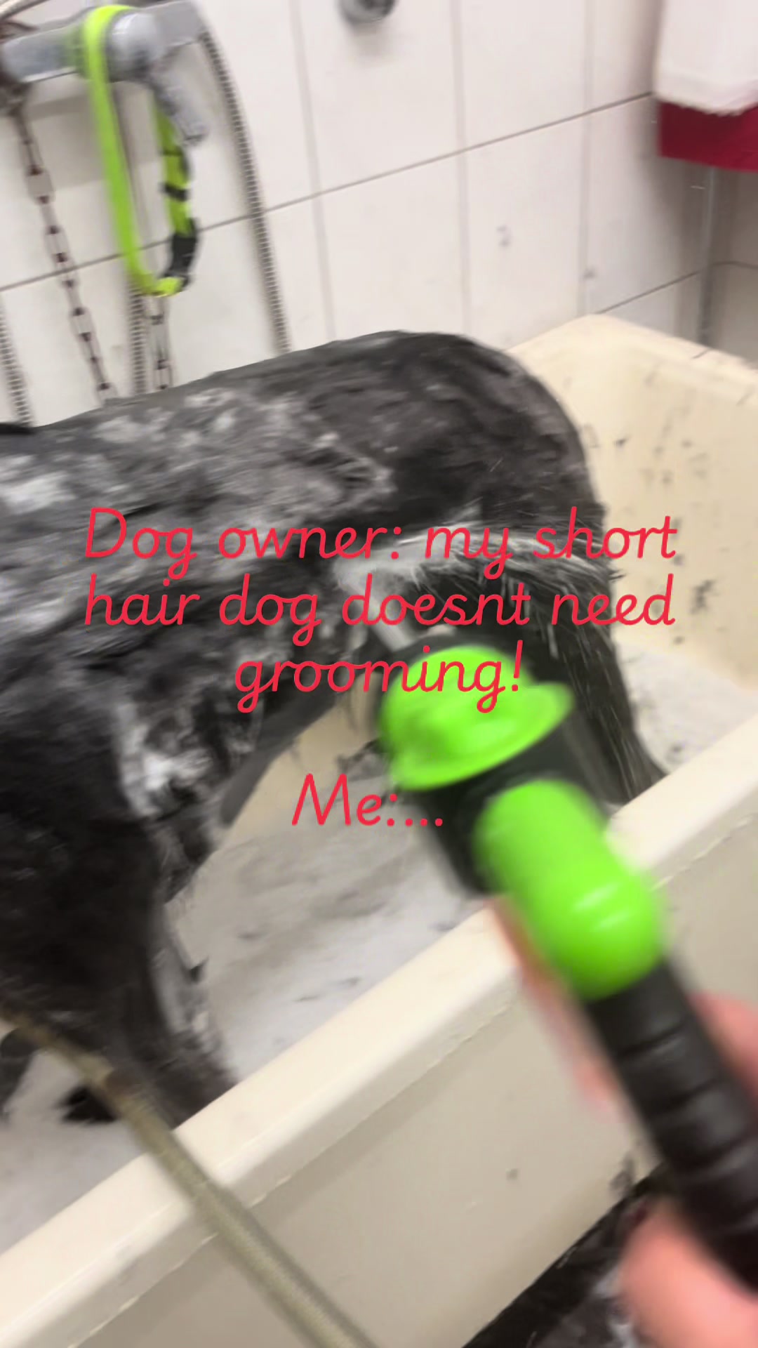 @broxcast