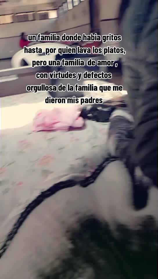 @Calderon Lavado Ruth