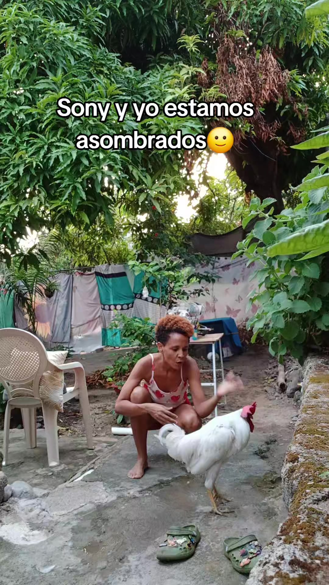 @betsyoficial