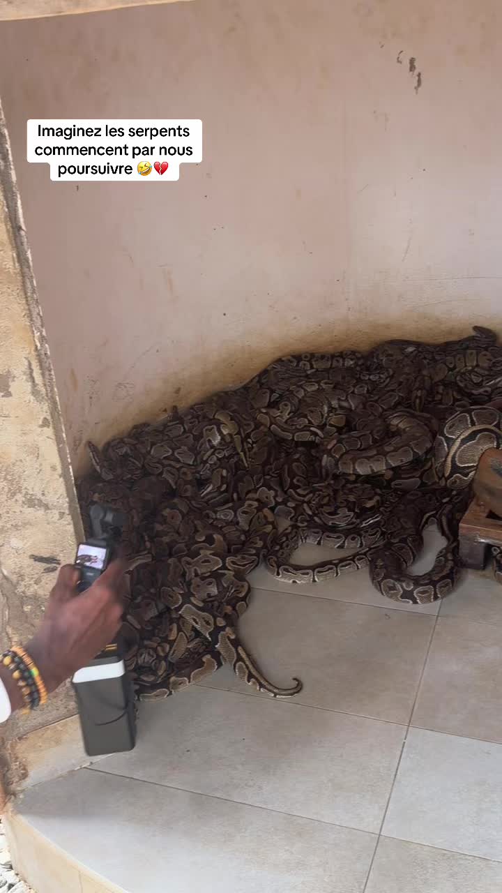 @𝐁𝐑𝐀𝐒𝐇𝐀𝐃_𝐂𝐄𝐎🇹🇬🇨🇩