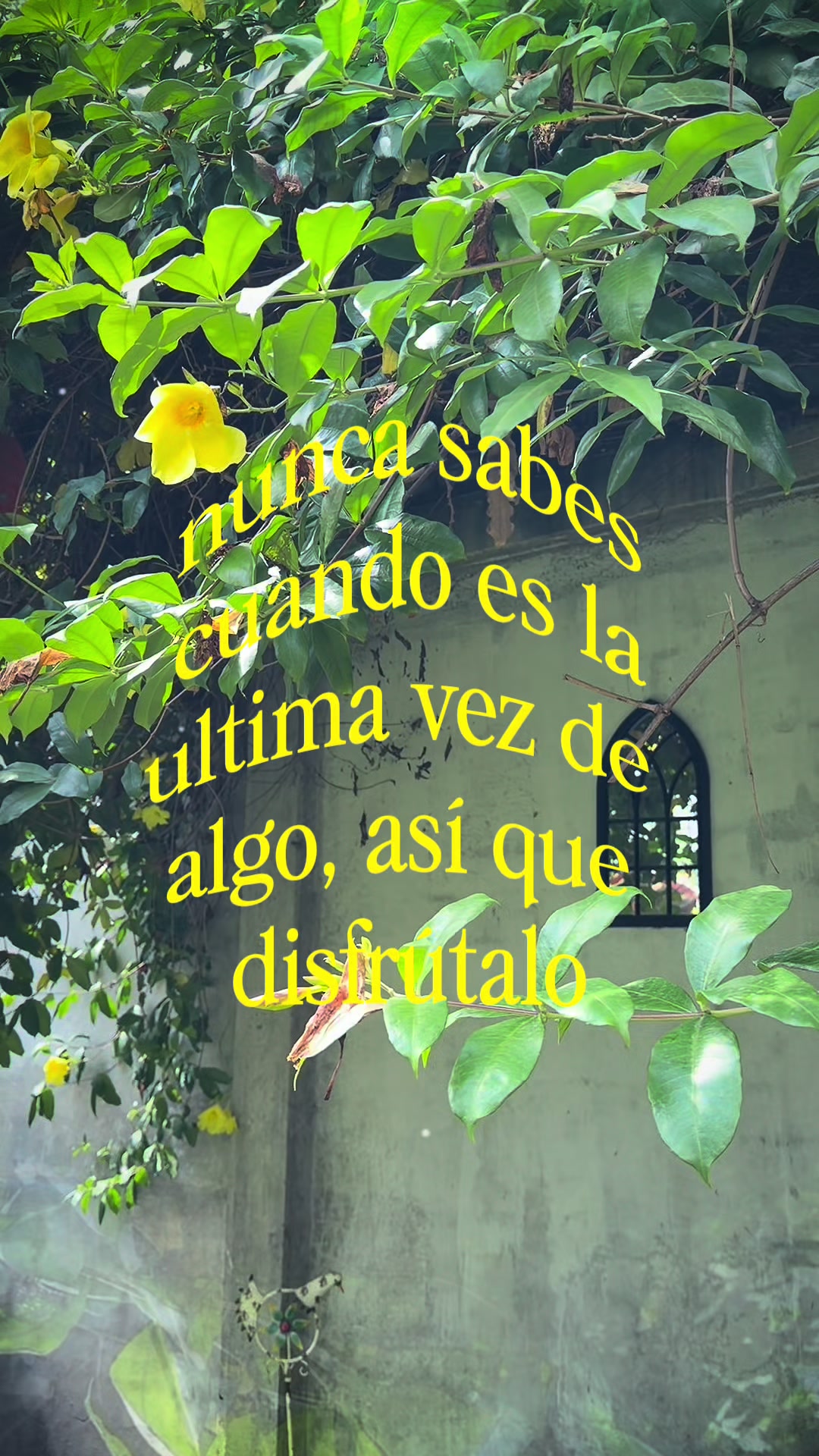 @Lucy Jara Zea