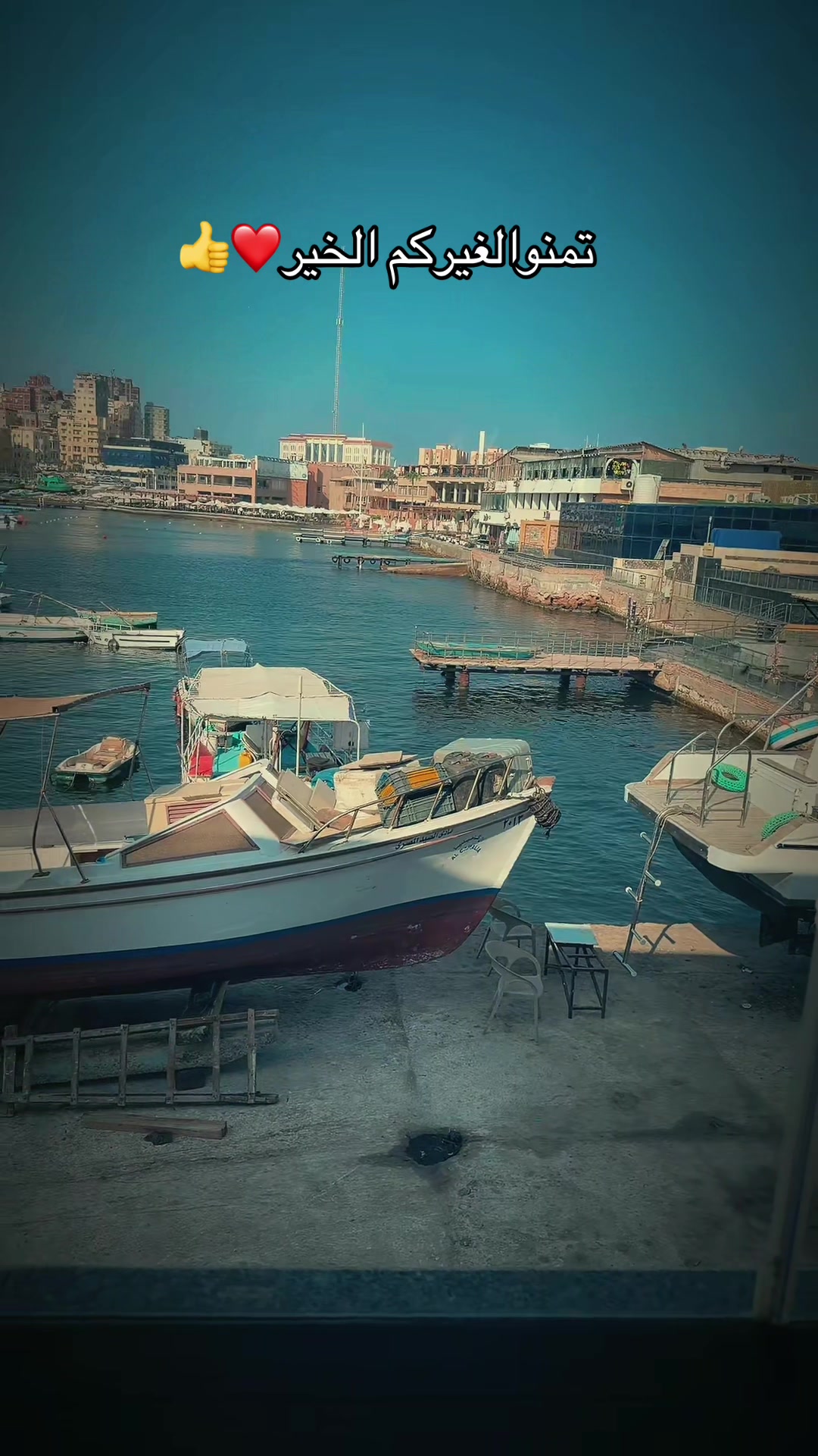 @حذيفه مجدي🐺✨