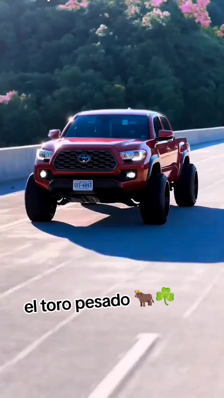 @el toro pesado 🐂☘️