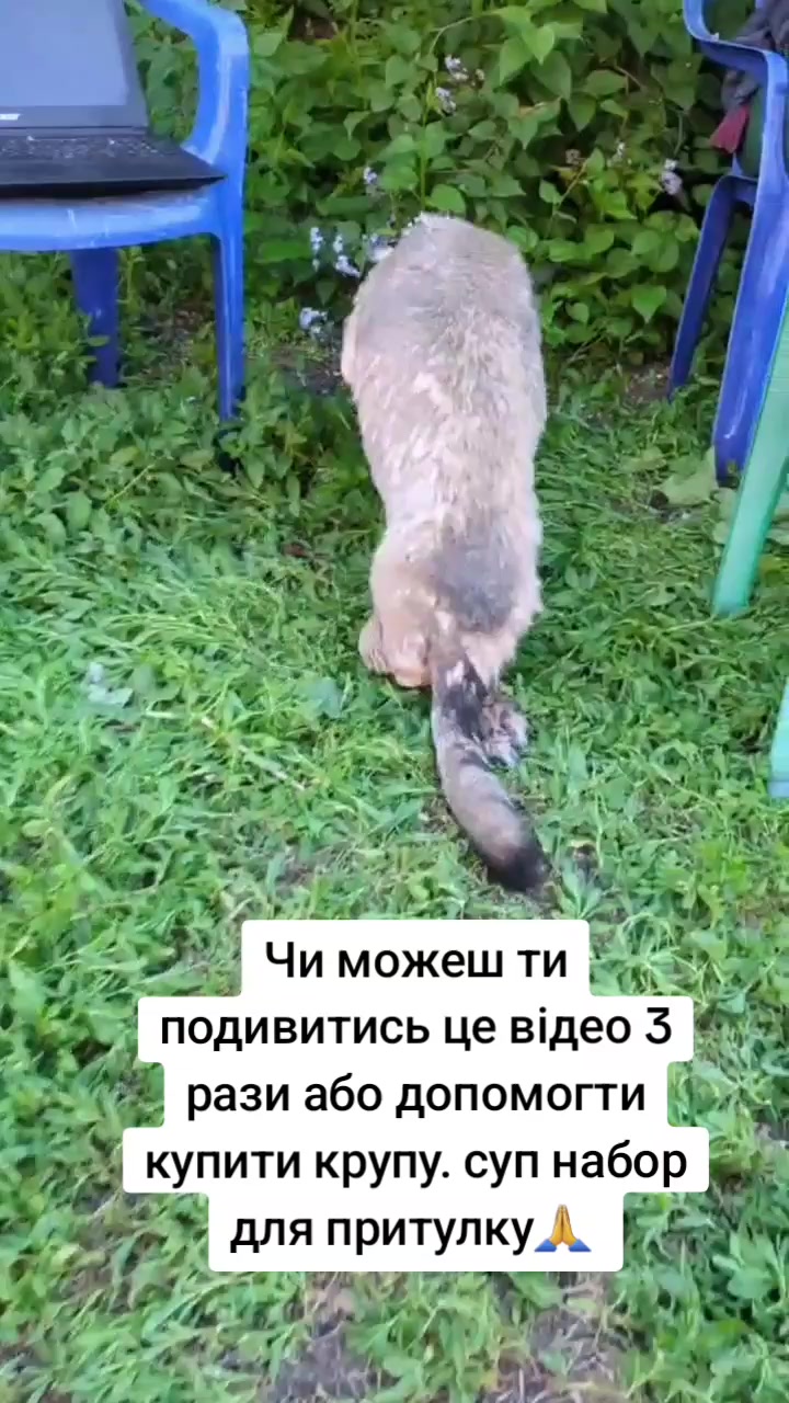 @tvarinkidobra