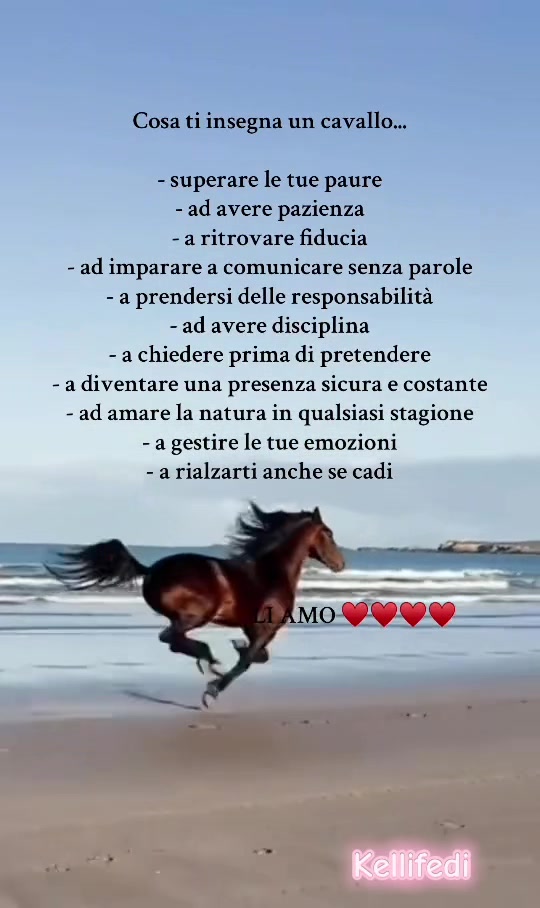 @Kellifede
