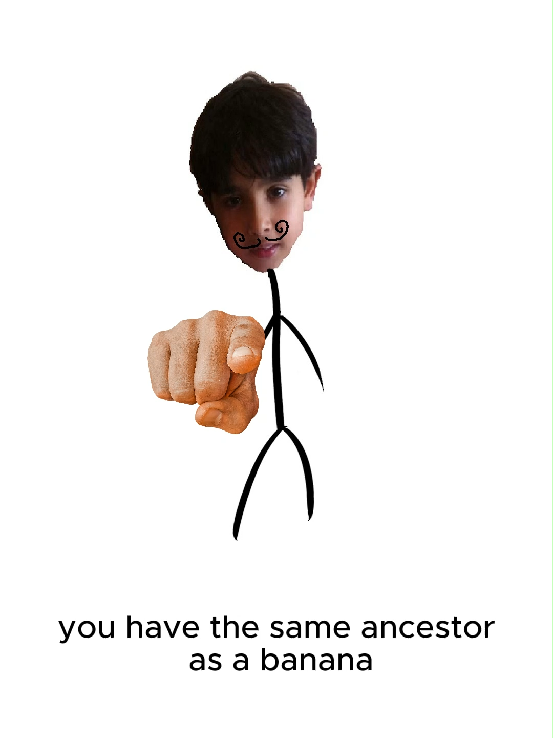 @spacinhoo