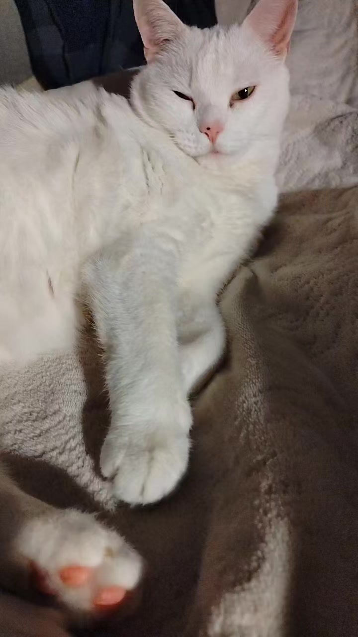 @кувалда