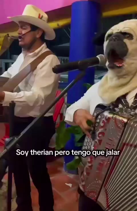 @Omeezapata