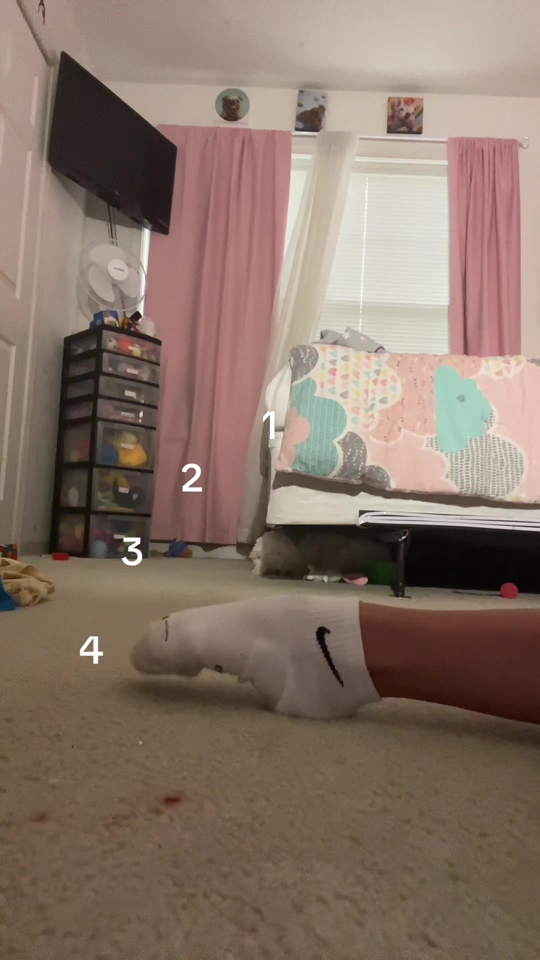 @lillyg