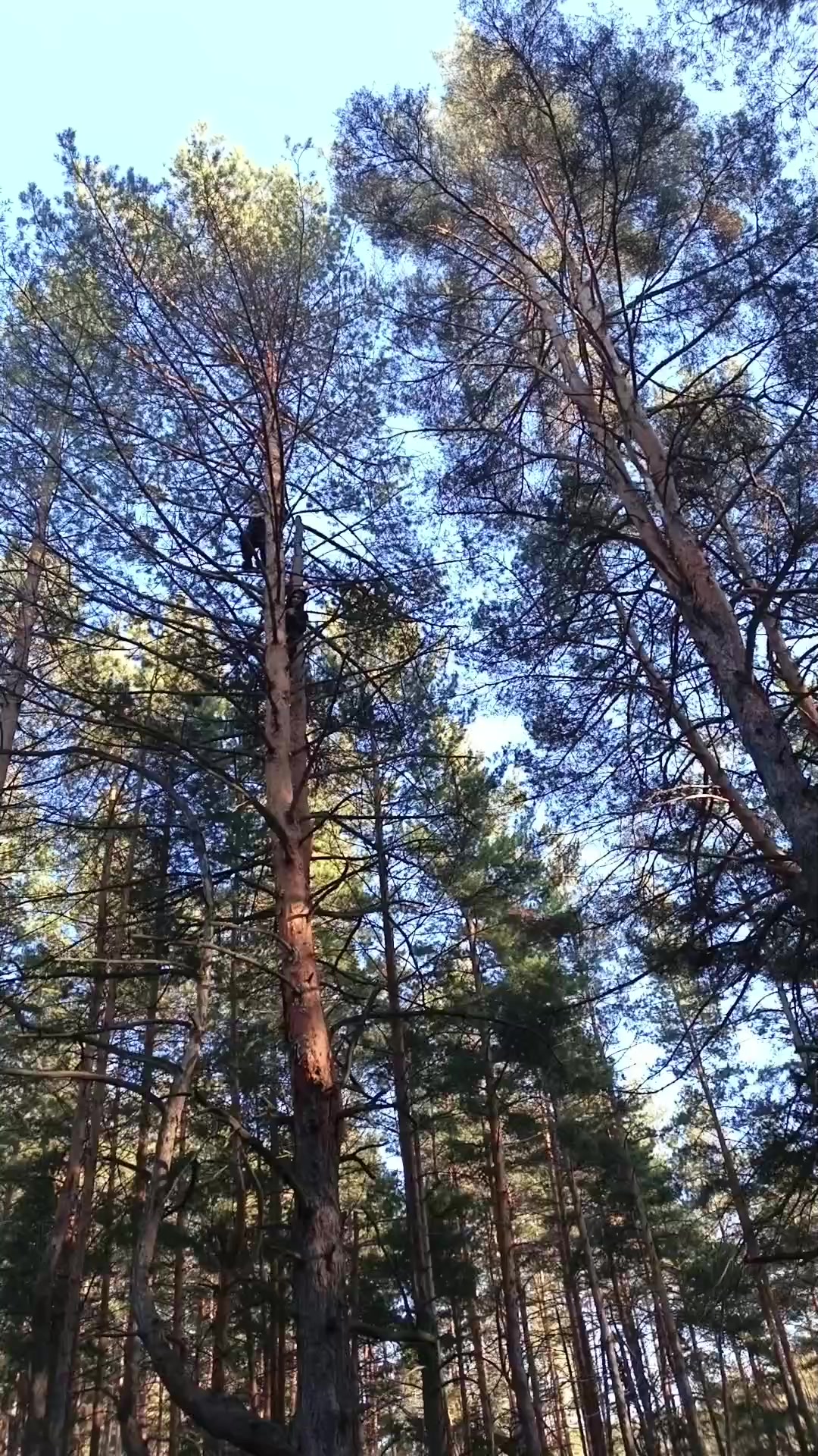 @🧟♂️