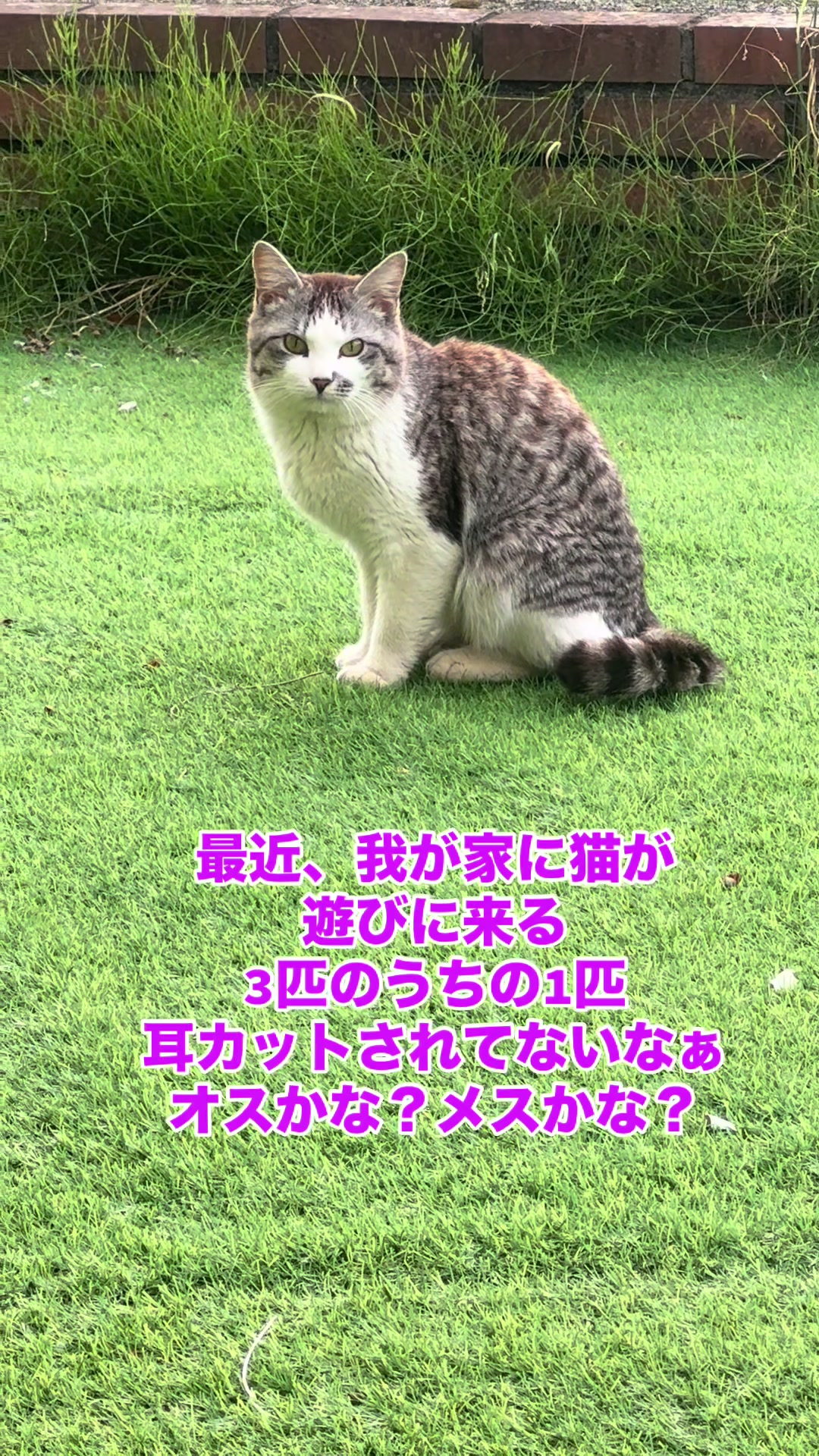 @ããããð€ð