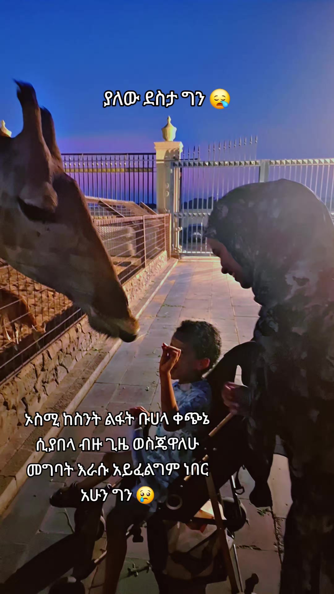 @magfria Mahmud ๐๐งฉ