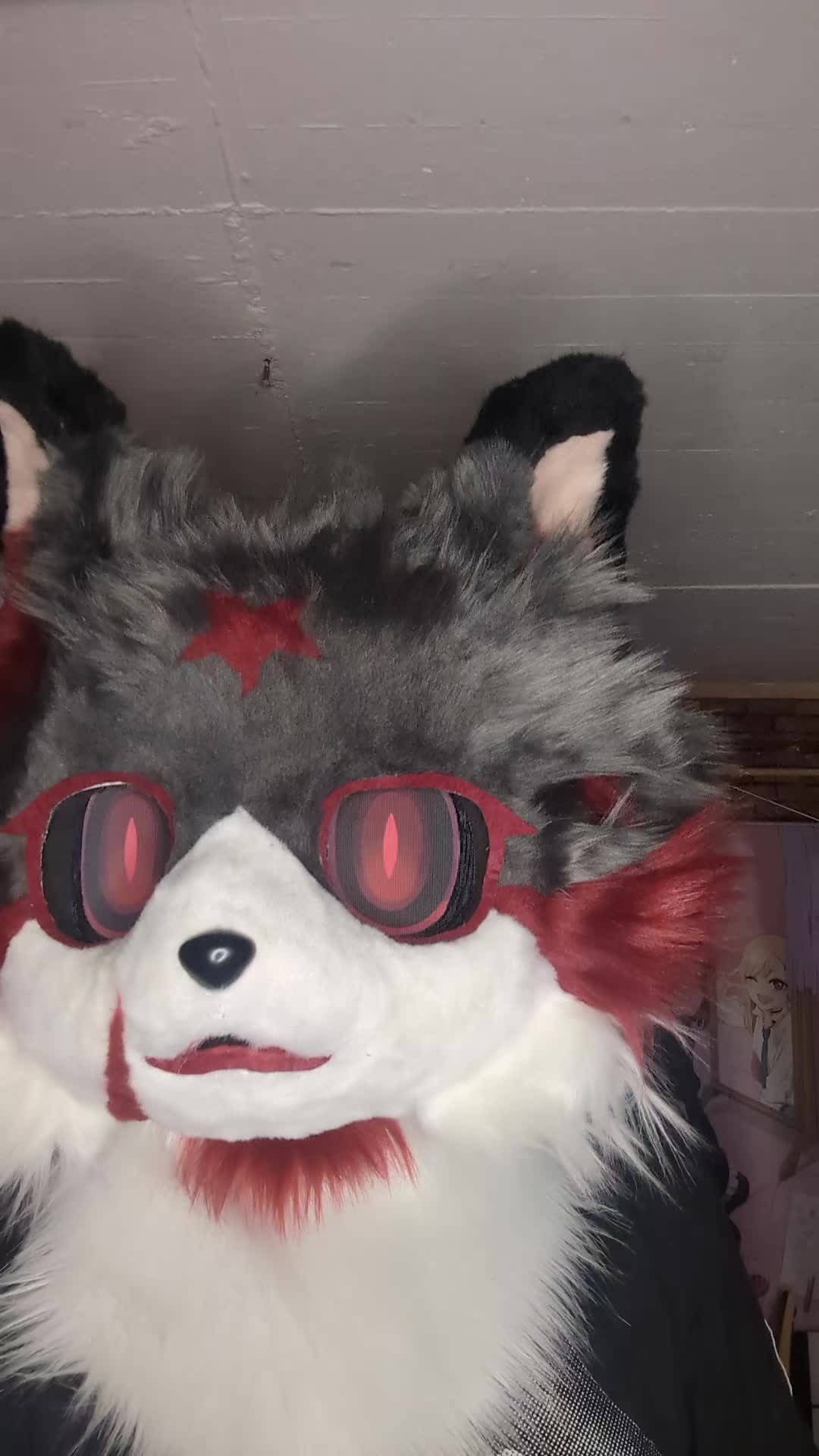 @Raphaelthefurry