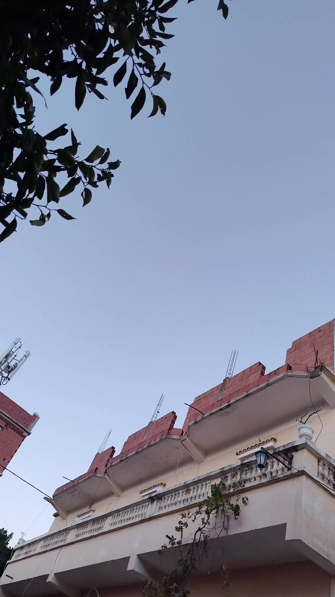 @Hamdane