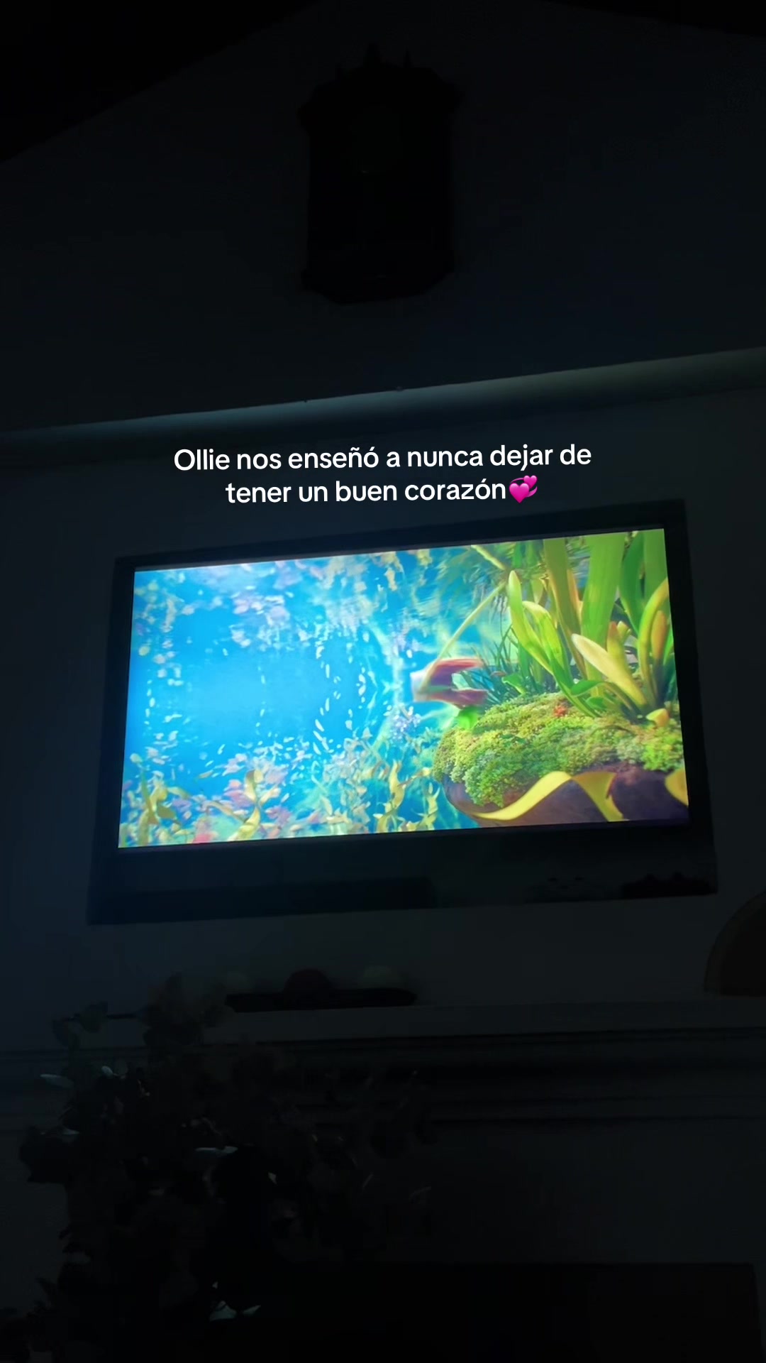 @Joseestuardo