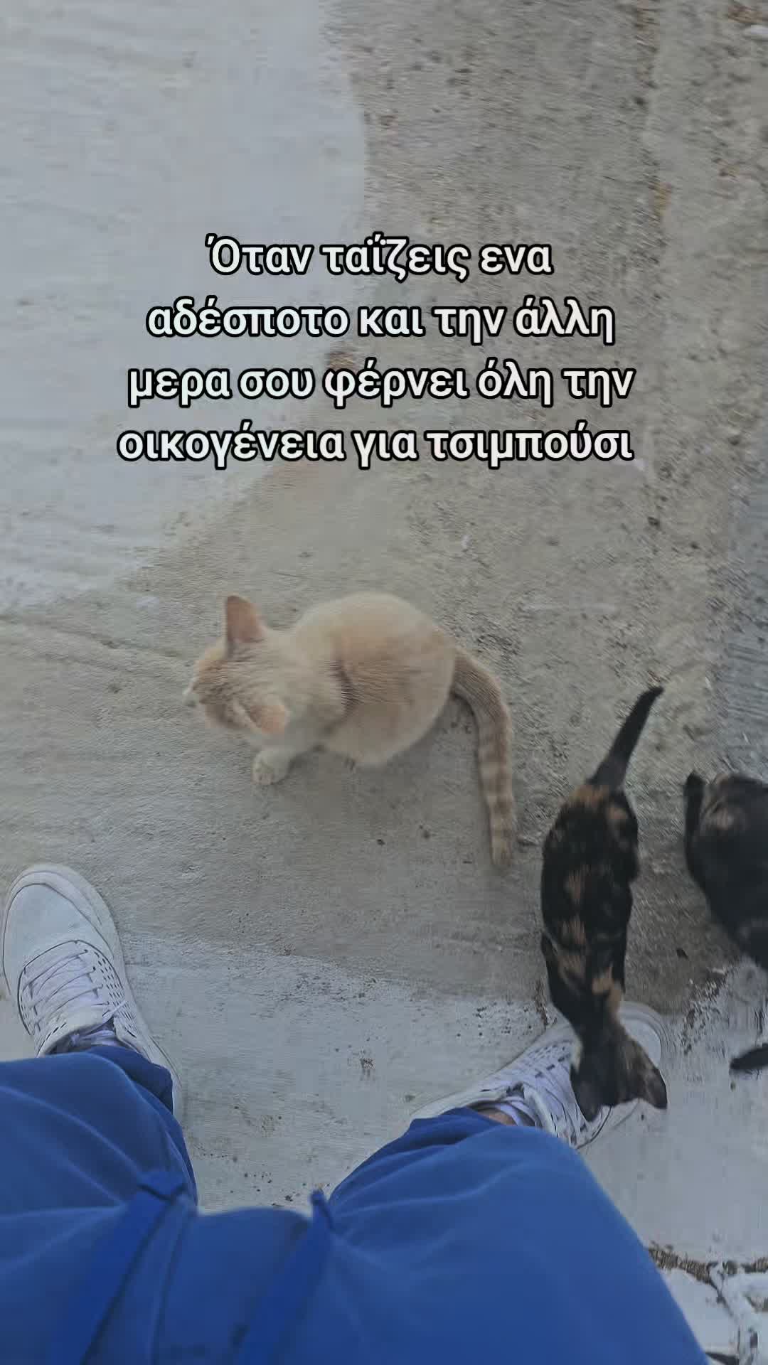 @Κωνσταντίνος Ντζ