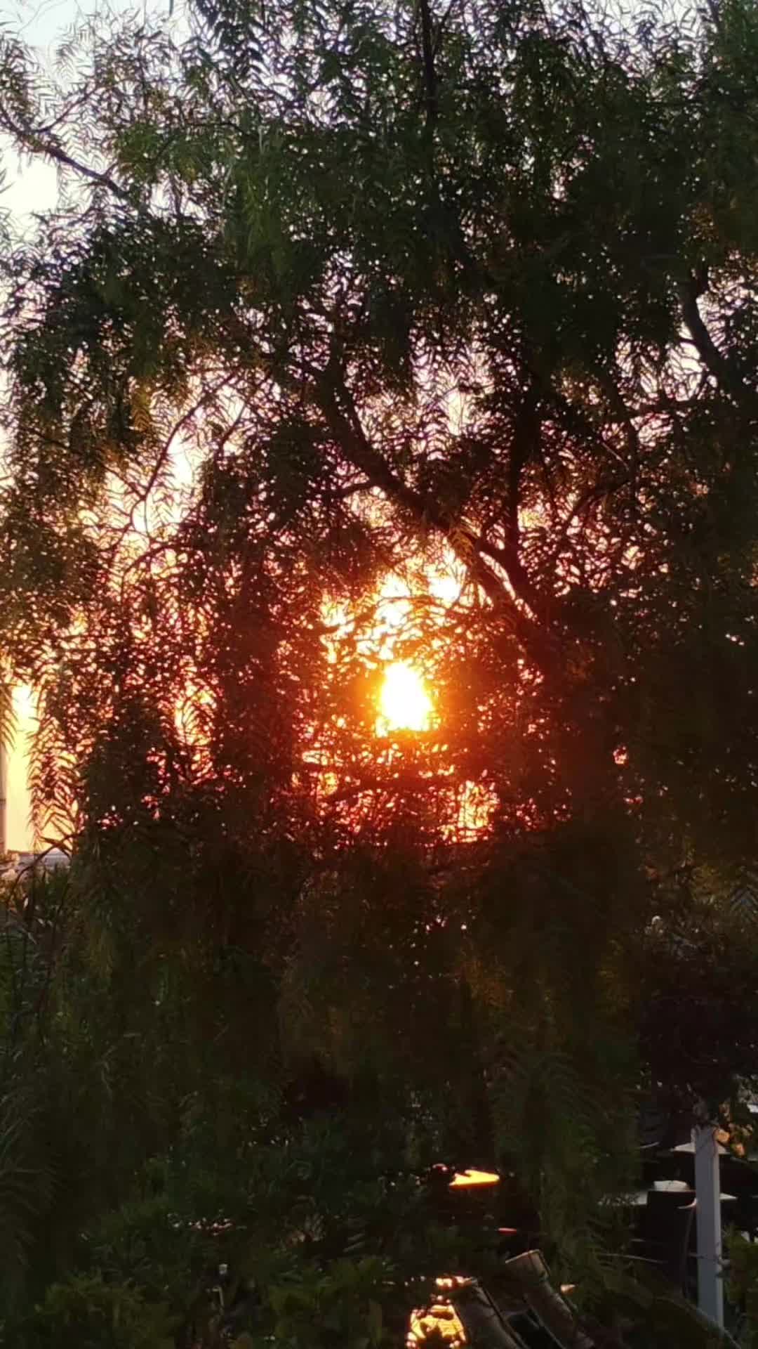 @Luana☀️