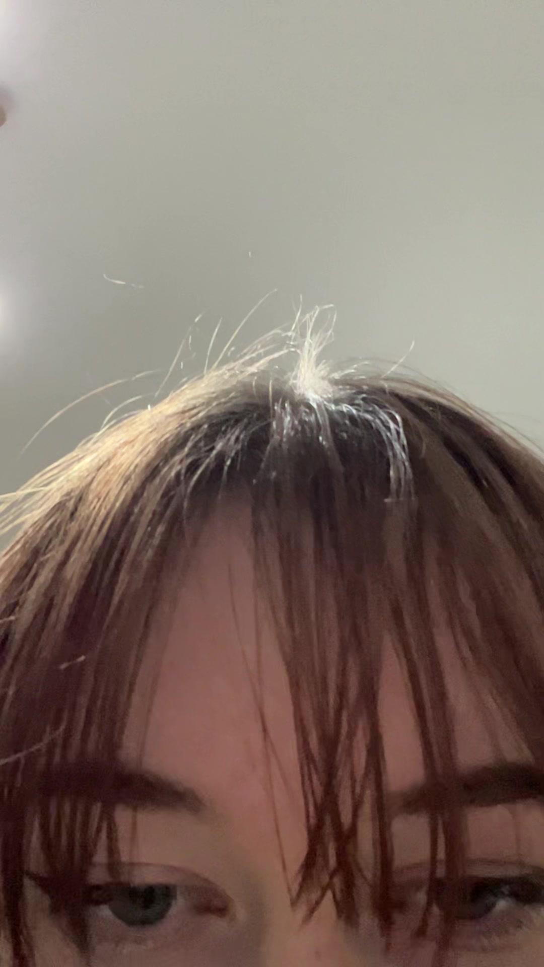 @penotrbl