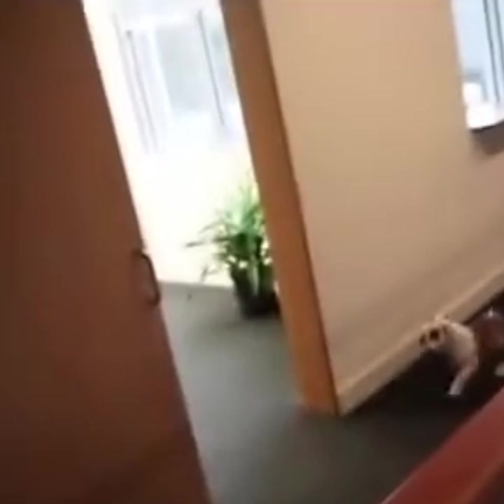 @ʟɪᴀ丰
