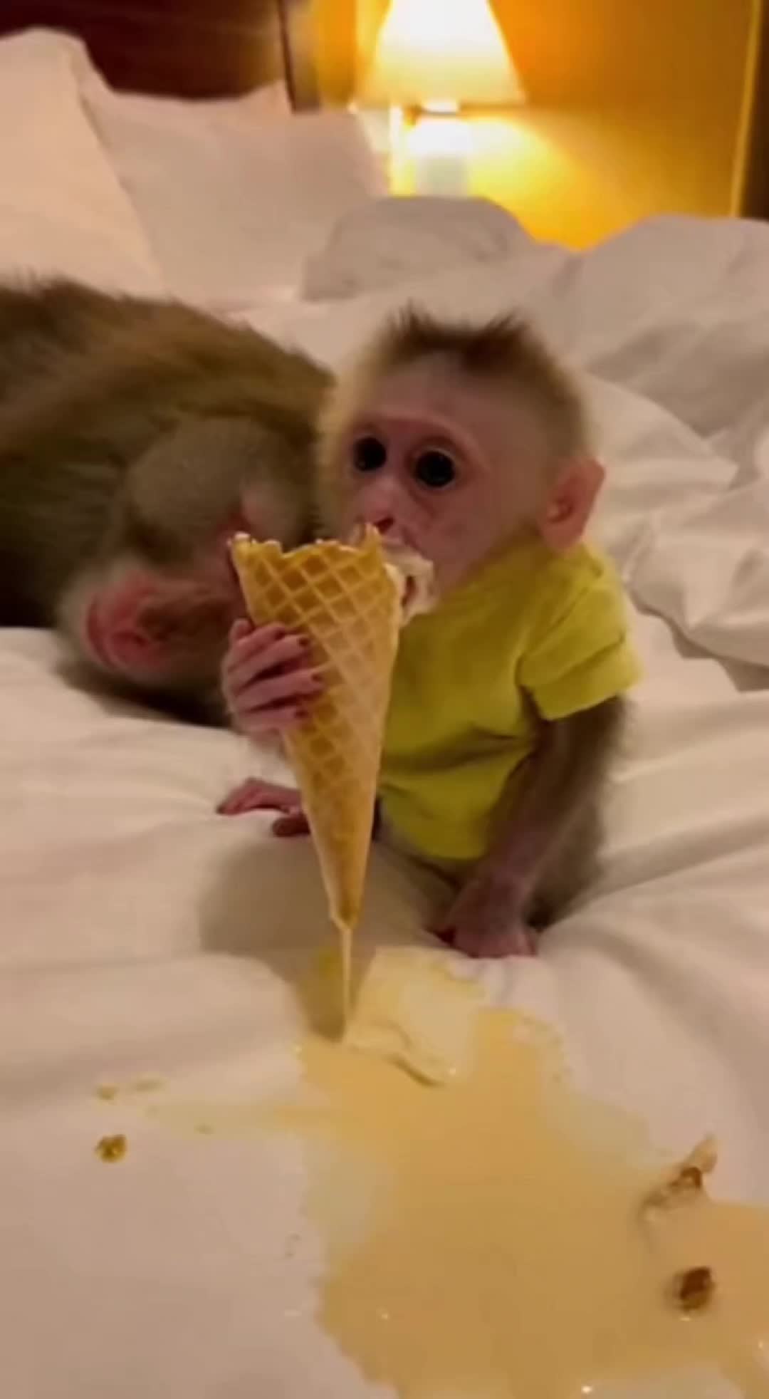 @monkeyfuntime
