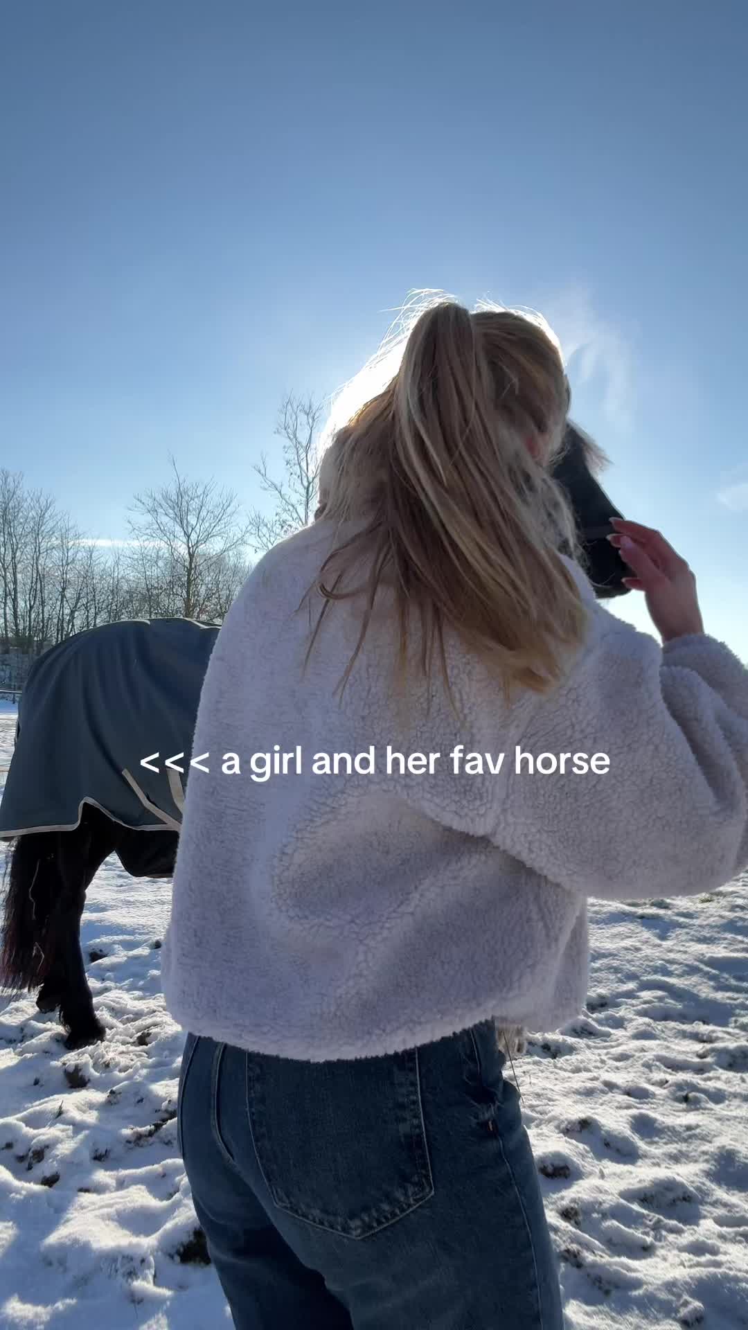 @Phoebe Tack Dressage