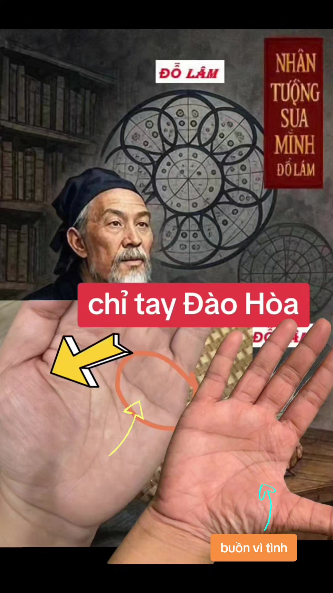 @Nhân Tướng Hiểu Mình