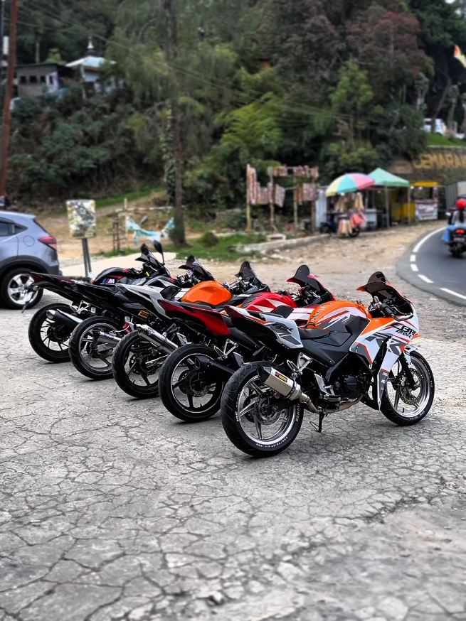 @Novael_cbr87