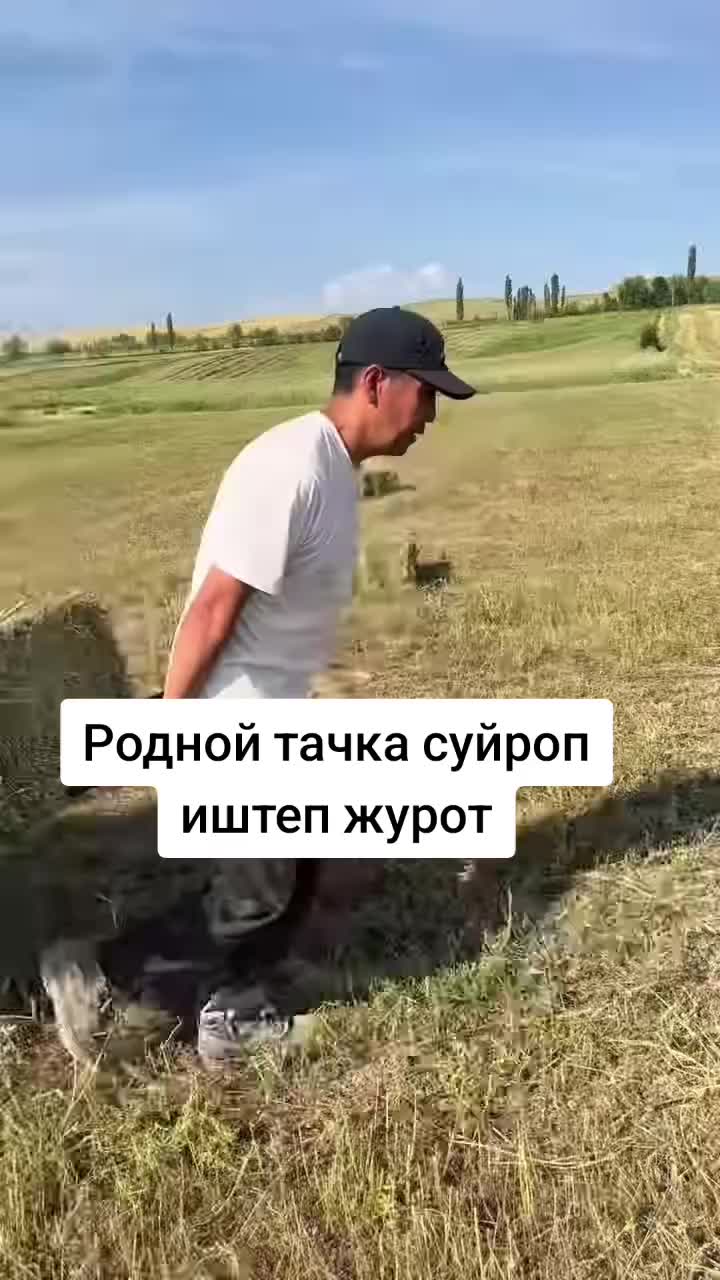 @Дикий Карышкыр🐺