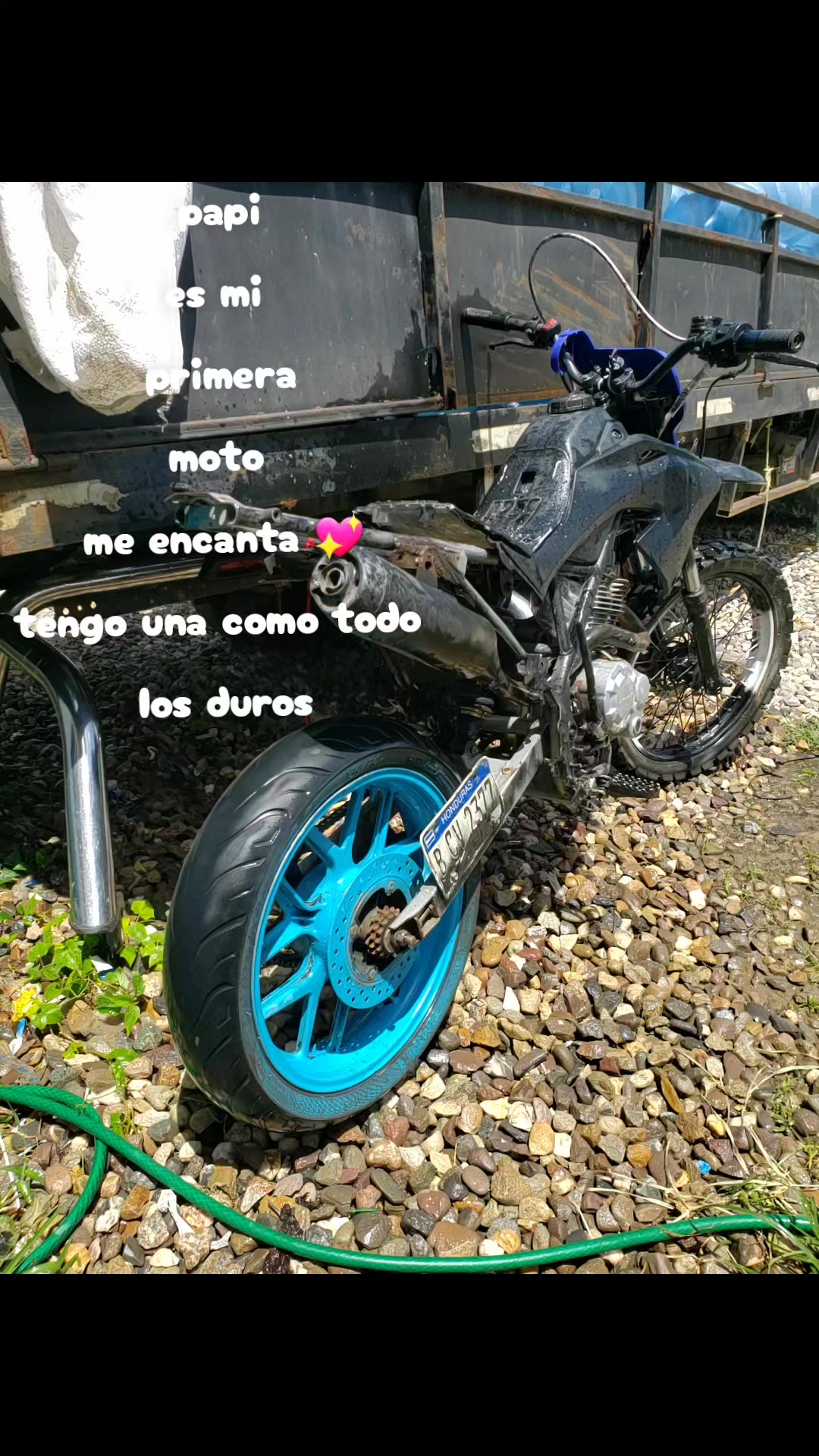 @😍VÁSQUEZ😍🐓