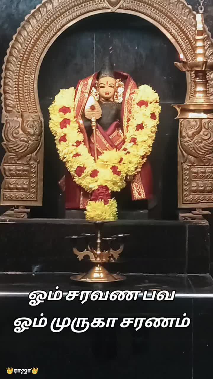 @sree_raj